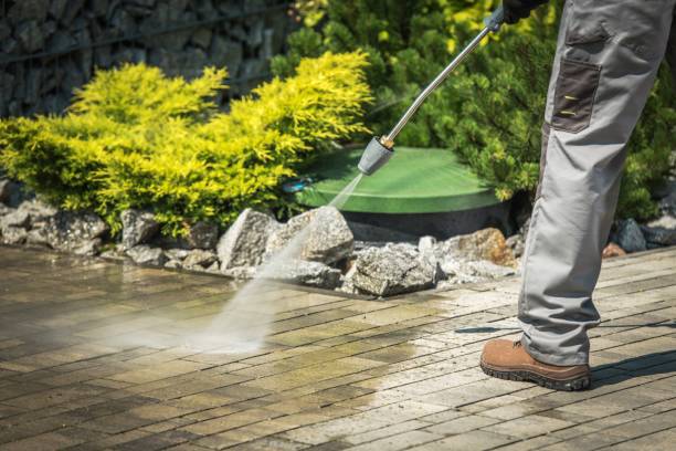 Best Animal Enclosure Cleaning  in Barboursville, WV